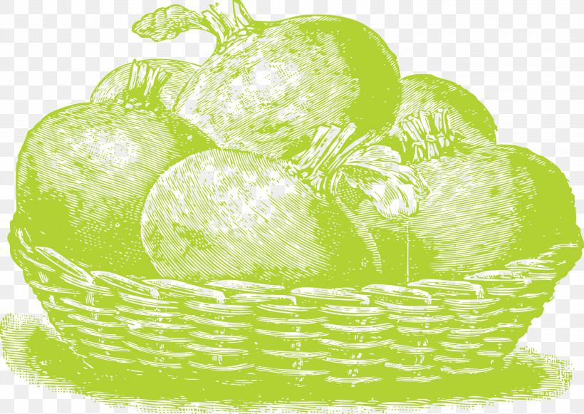 Vegetable, PNG, 2999x2128px, Vegetable, Fruit, Green Download Free