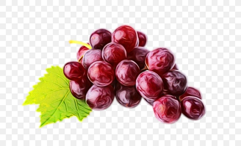 Watercolor Leaves, PNG, 750x500px, Common Grape Vine, Berry, Concord Grape, Currant, Flowering Plant Download Free