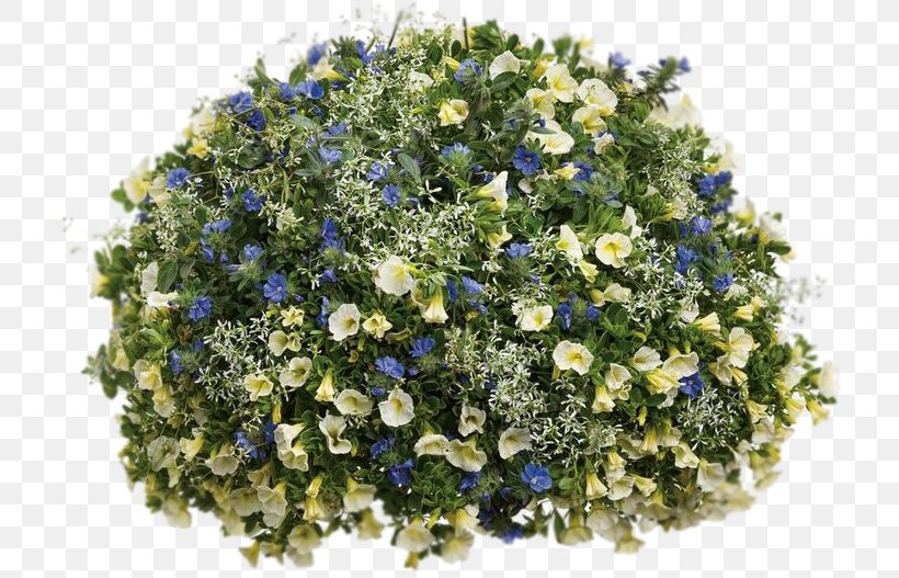 Floral Design Flower Bouquet Cut Flowers Blue, PNG, 721x527px, Floral Design, Annual Plant, Blue, Borage, Borage Family Download Free