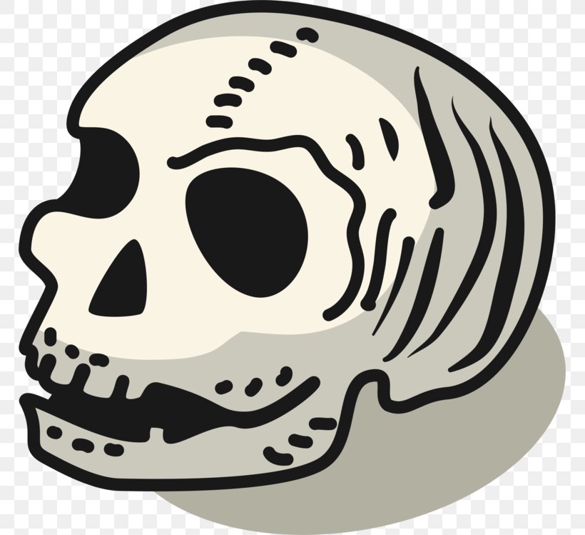 Human Skull Drawing, PNG, 767x749px, Skull, Bone, Cc0 Licence, Drawing, Head Download Free
