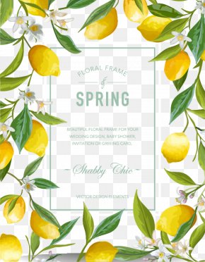 Fruit Border Images Fruit Border Transparent Png Free Download