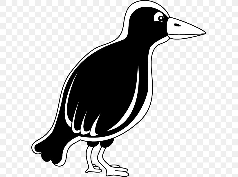 Clip Art Duck Illustration Crow Silhouette, PNG, 603x610px, Duck, Animal, Artwork, Beak, Bird Download Free