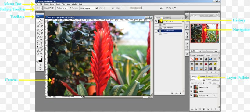 Graphics Software Computer Software Editing Video, PNG, 1190x533px, Graphics Software, Computer, Computer Graphics, Computer Program, Computer Software Download Free