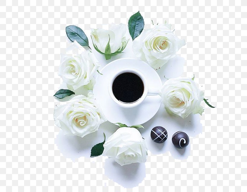 Ipoh White Coffee Cafe Beach Rose Ipoh White Coffee, PNG, 640x640px, Coffee, Artificial Flower, Beach Rose, Cafe, Cut Flowers Download Free
