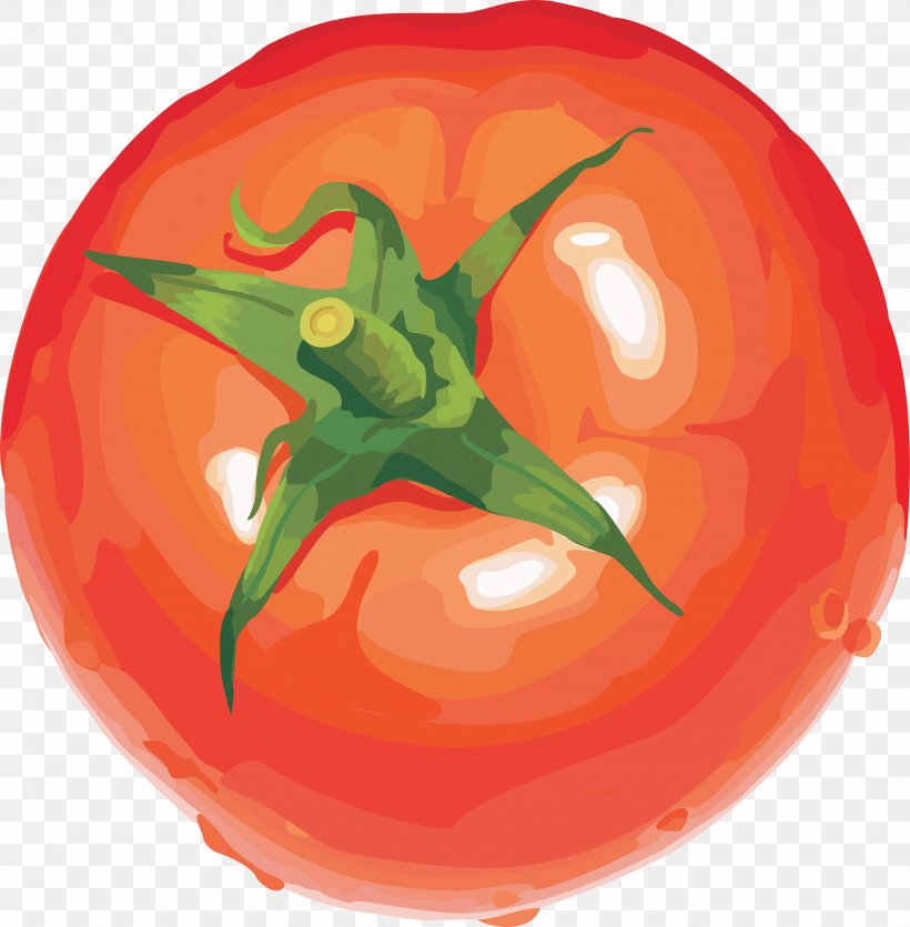 Vegetable Tomato Fruit Clip Art, PNG, 3479x3543px, Vegetable, Food, Fruit, Nightshade Family, Orange Download Free