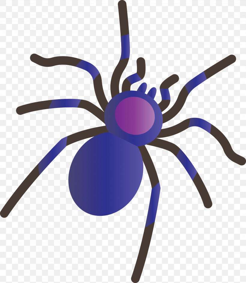 Insect Arachnid Purple Line, PNG, 2604x3000px, Cartoon Spider, Arachnid, Insect, Line, Purple Download Free