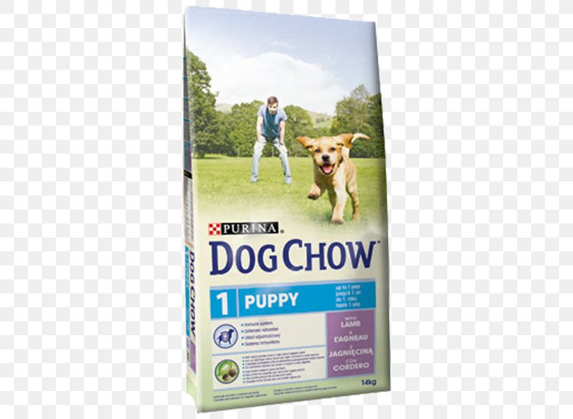 Puppy Cat Food Chow Chow Dog Chow Nestlé Purina PetCare Company, PNG, 600x600px, Puppy, Advertising, Cat Food, Chow Chow, Dog Download Free