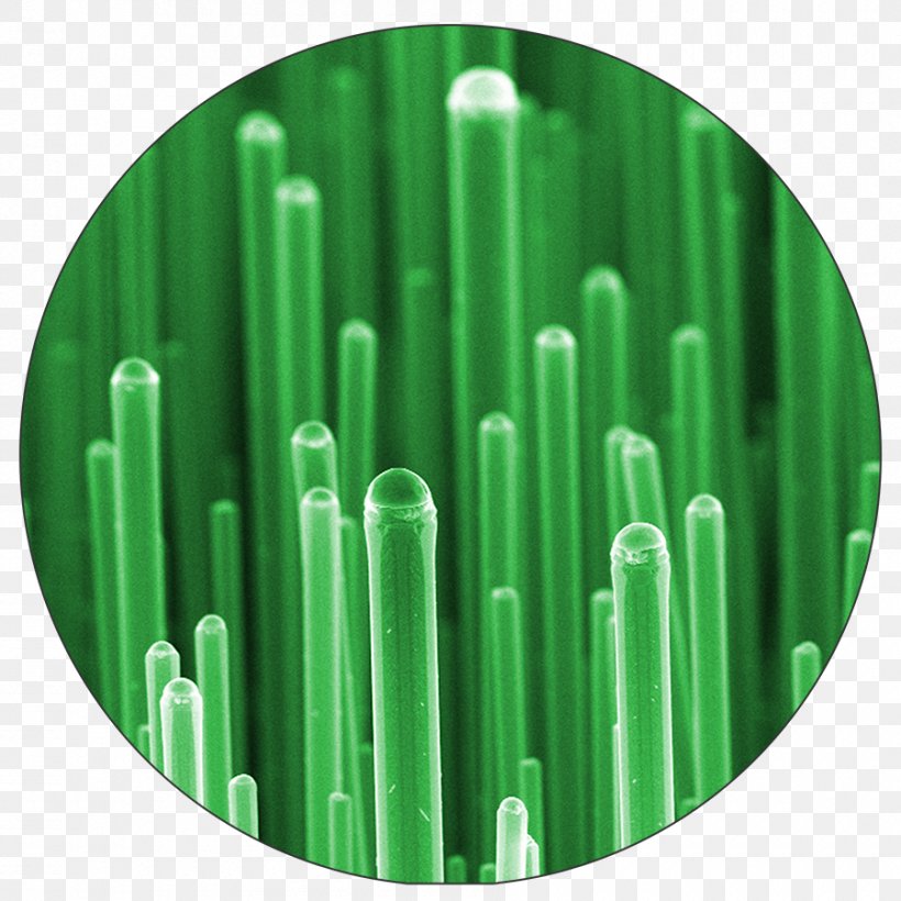 Semiconductor Nanowires: Materials, Synthesis, Characterization And Applications Chemical Vapor Deposition Nanotechnology, PNG, 900x900px, Nanowire, Chemical Vapor Deposition, Electronics, Germanium, Grass Download Free