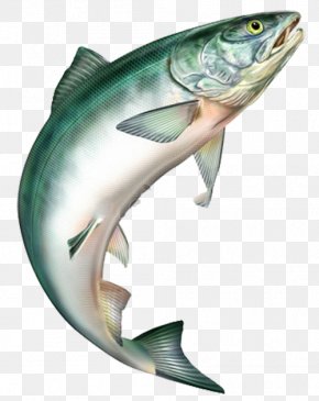 Atlantic Cod Images Atlantic Cod Transparent Png Free Download