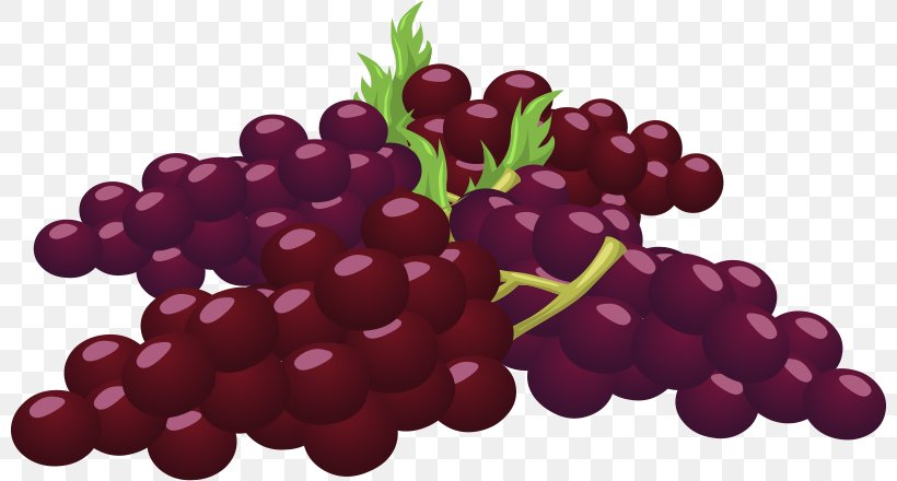 Common Grape Vine Clip Art, PNG, 800x440px, Common Grape Vine, Berry, Boysenberry, Cranberry, Food Download Free