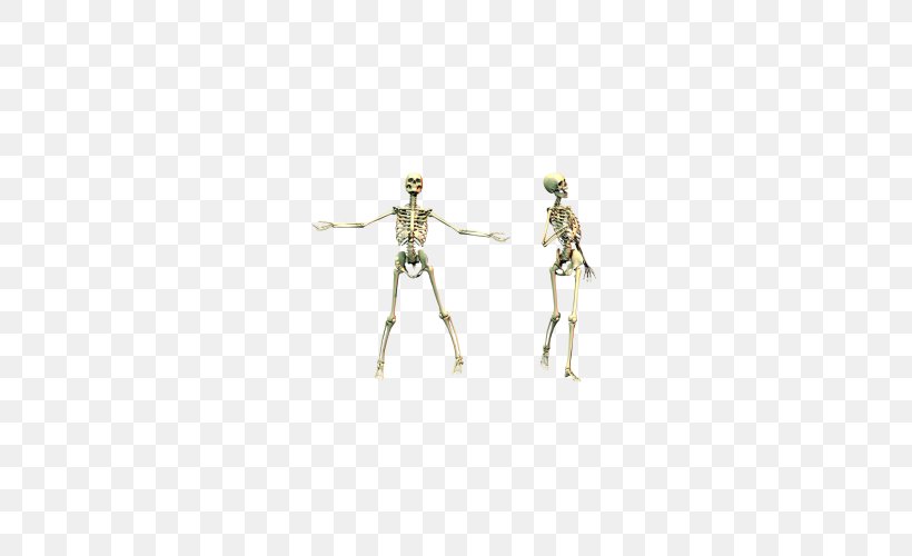 Human Skeleton Skull, PNG, 500x500px, Human Skeleton, Art, Bone, Drawing, Endoskeleton Download Free