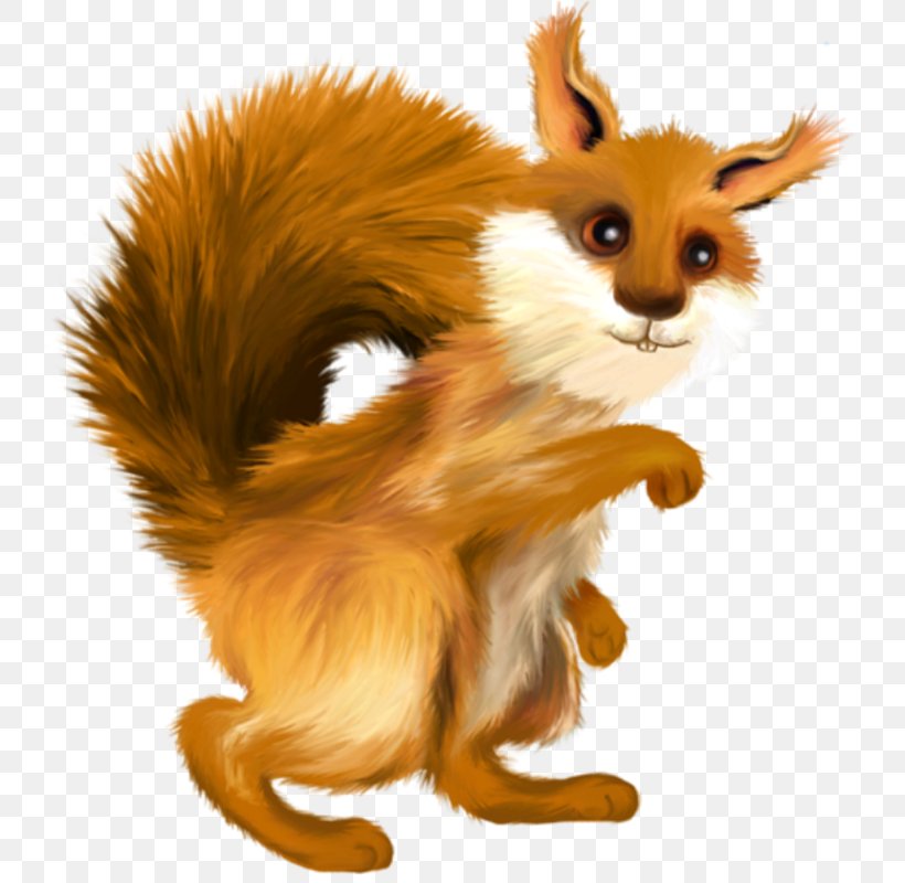 Red Fox PhotoScape Rodent Tree Squirrel, PNG, 741x800px, Red Fox, Animal, Carnivoran, Cartoon, Dog Like Mammal Download Free