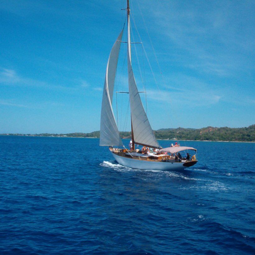 Sailboat Sailing Boating, PNG, 1024x1024px, Sailboat, Boat, Boat Club, Boating, Calm Download Free
