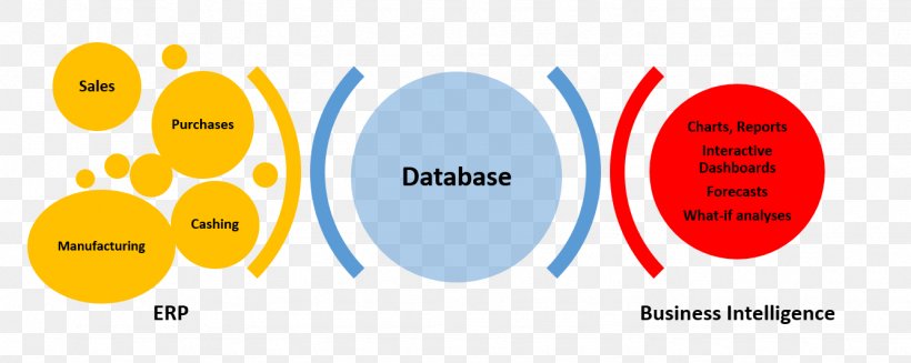 Business Intelligence Enterprise Resource Planning System Management, PNG, 1334x532px, Business Intelligence, Area, Brand, Business, Business Intelligence Software Download Free
