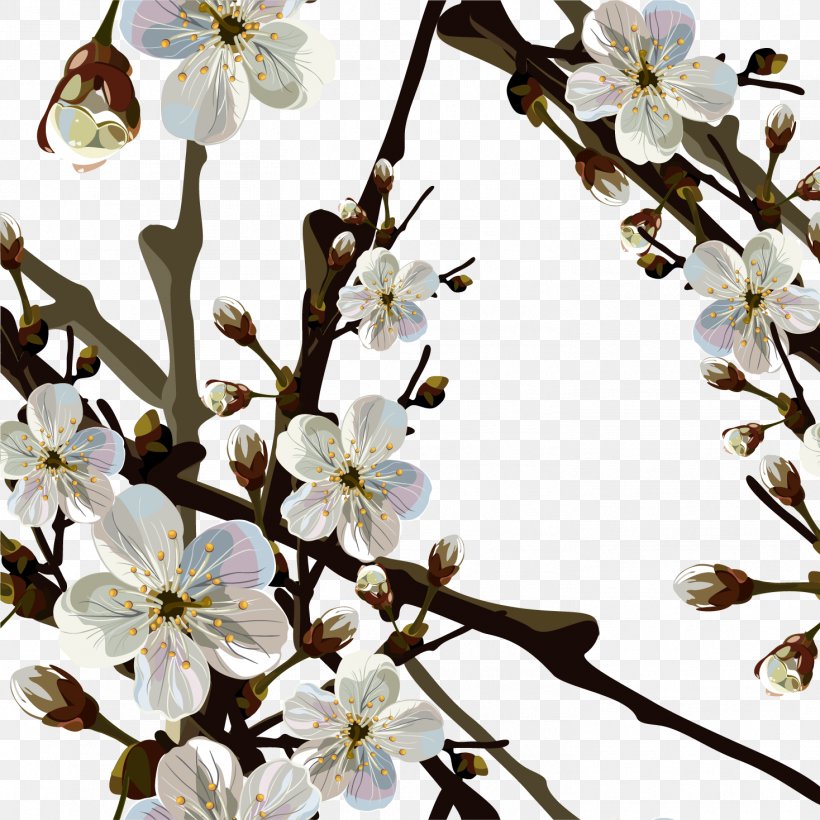 Cherry Blossom Wallpaper, PNG, 1468x1468px, Cherry Blossom, Blossom, Branch, Cherry, Cut Flowers Download Free