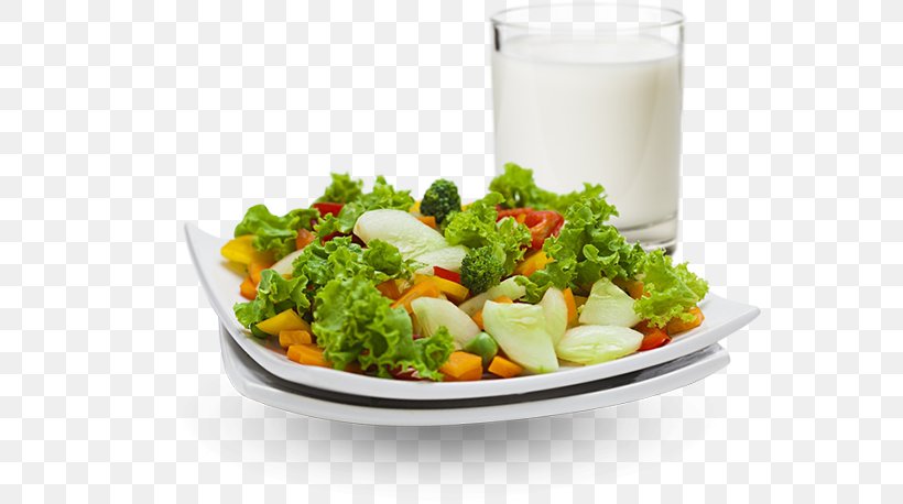 Health Food Nutrition Salad Bone, PNG, 564x458px, Health, Bone, Bone Health, Cuisine, Diet Download Free