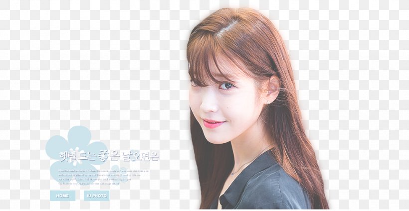 IU Moon Lovers: Scarlet Heart Ryeo Instiz Palette K-pop, PNG, 976x504px, Watercolor, Cartoon, Flower, Frame, Heart Download Free