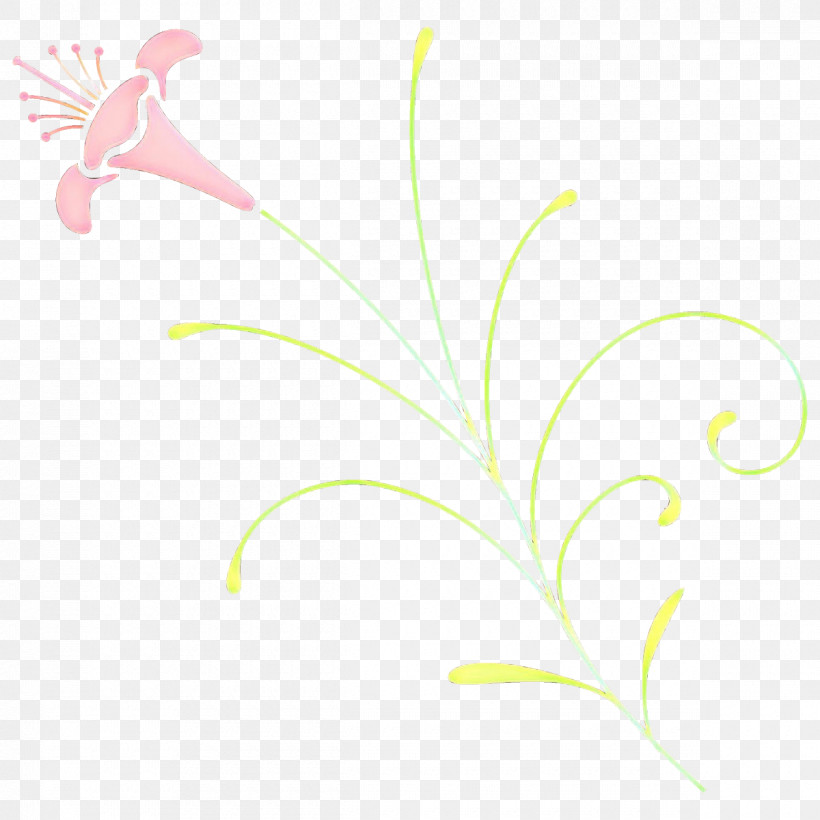 Leaf Plant Pedicel Flower Grass, PNG, 1200x1200px, Leaf, Flower, Grass, Pedicel, Plant Download Free
