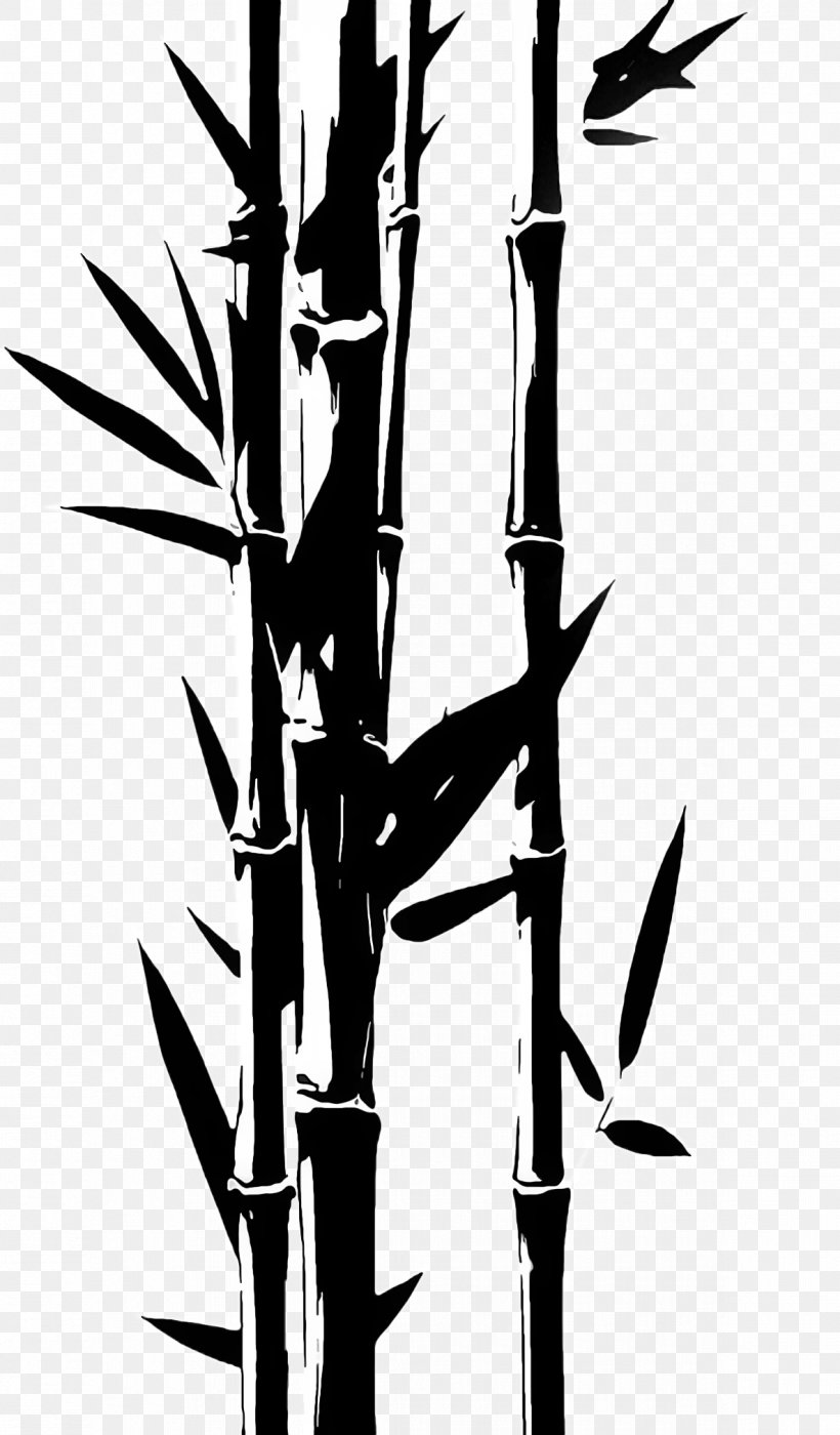 Bamboo Plant Stem Plant Grass Family Tree, PNG, 1185x2024px, Bamboo, Flower, Grass Family, Plant, Plant Stem Download Free
