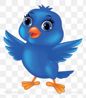 Blue Angry Birds - Bird Vector Graphics Royalty-free Image Stock Illustration PNG