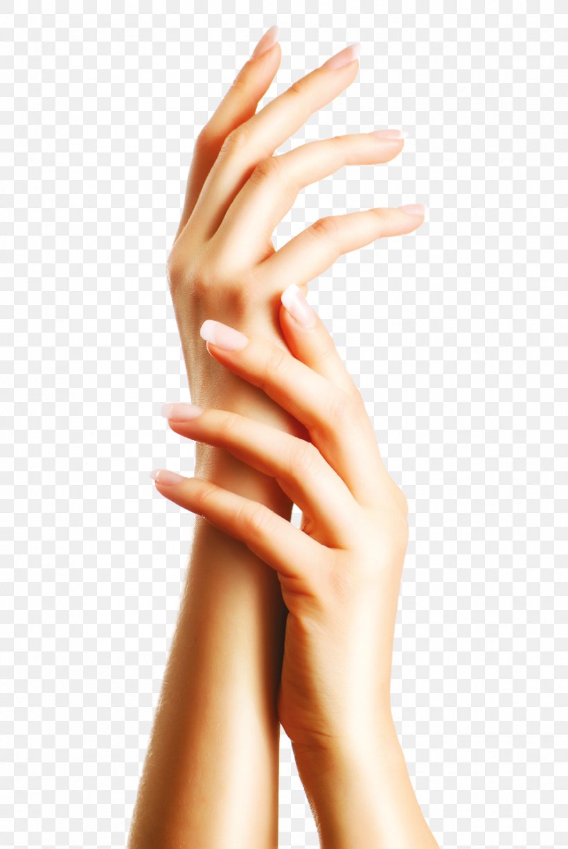 Hand Aloe Vera Manicure Pedicure Beauty Parlour, PNG, 893x1335px, Hand, Aloe Vera, Arm, Artificial Nails, Beauty Parlour Download Free