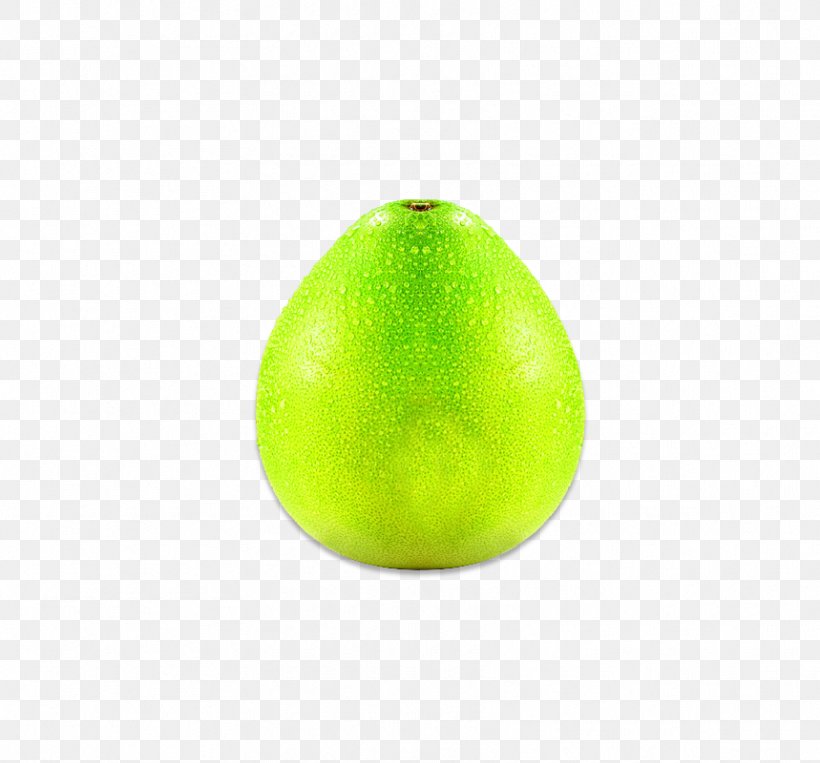 Lime Pomelo Grapefruit Lemon, PNG, 859x800px, Lime, Citric Acid, Citron, Citrus, Citrus Junos Download Free