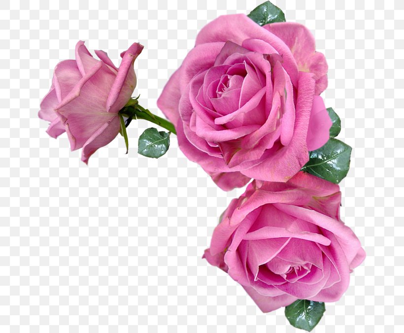 Rose Pink Flowers, PNG, 670x676px, Rose, Artificial Flower, Cut Flowers, Decoupage, Floral Design Download Free