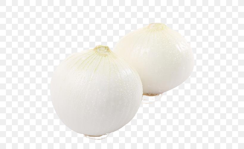 White Onion Vegetable, PNG, 500x500px, Onion, Ingredient, Scallion, Vegetable, White Onion Download Free