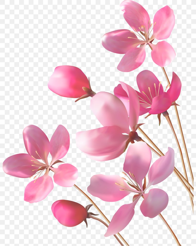 Desktop Wallpaper Pink Flowers, PNG, 800x1029px, Paper, Blossom, Branch, Cherry Blossom, Cut Flowers Download Free