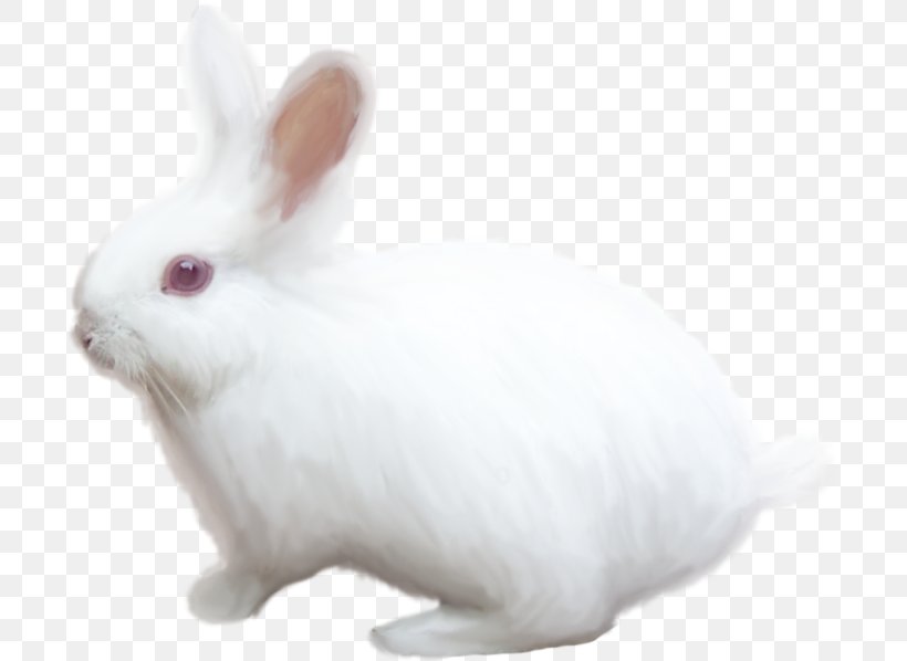 Domestic Rabbit White Rabbit Hare, PNG, 699x598px, Domestic Rabbit, Dream, Easter, Hare, Labor Download Free