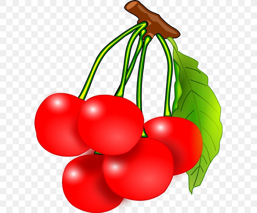 Fruit Cherry Free Content Clip Art, PNG, 600x680px, Fruit, Apple, Branch, Cherry, Drawing Download Free