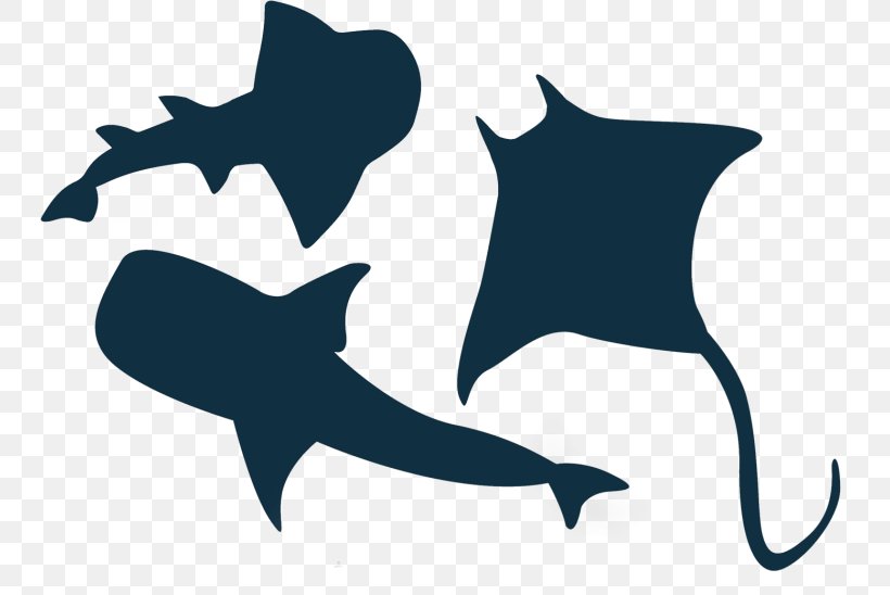 Great White Shark Vector Graphics Illustration Clip Art, PNG, 768x548px, Shark, Art, Baby Shark, Cartilaginous Fish, Fin Download Free