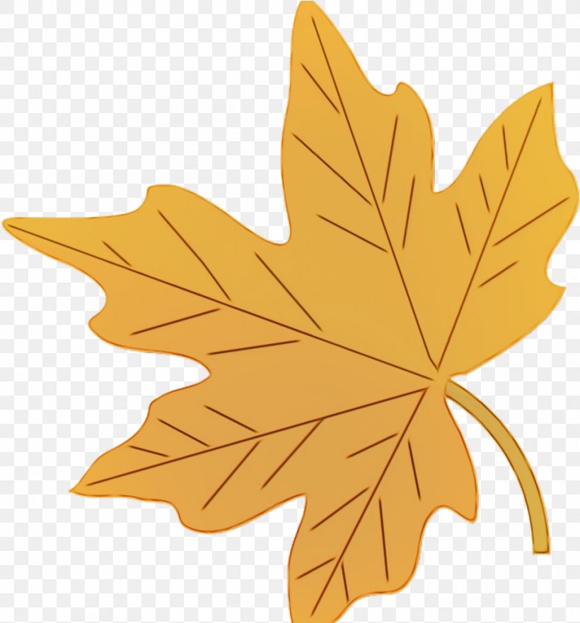 Maple Leaf, PNG, 952x1025px, Watercolor, Black Maple, Flowering Plant, Leaf, Maple Download Free