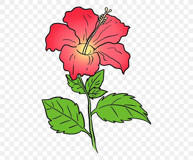 Drawing Image Tutorial Coloring Book Vector Graphics, PNG, 680x678px, Drawing, Art, Botany, Chinese Hibiscus, Coloring Book Download Free