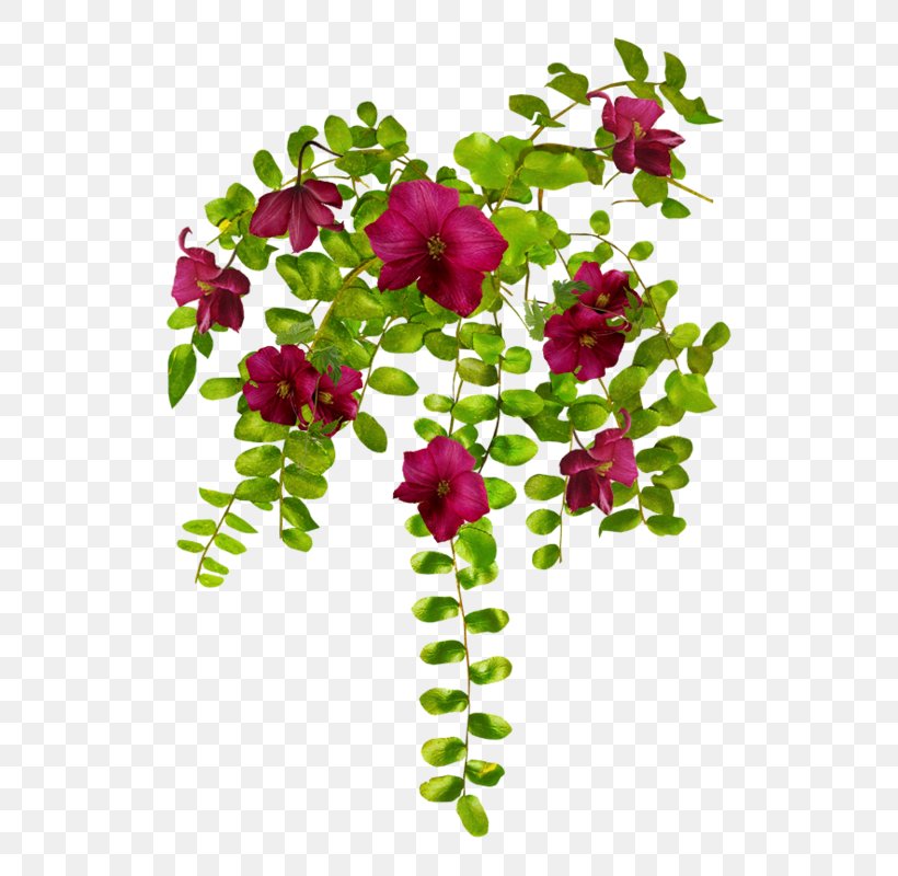 Floral Design Flower Plant Rose, PNG, 556x800px, Floral Design, Annual Plant, Bougainvillea, Branch, Cut Flowers Download Free