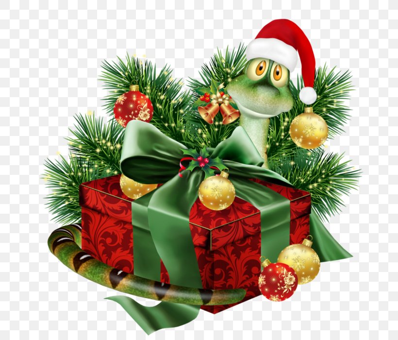 Gift Christmas Clip Art, PNG, 700x700px, Gift, Christmas, Christmas Decoration, Christmas Ornament, Fir Download Free