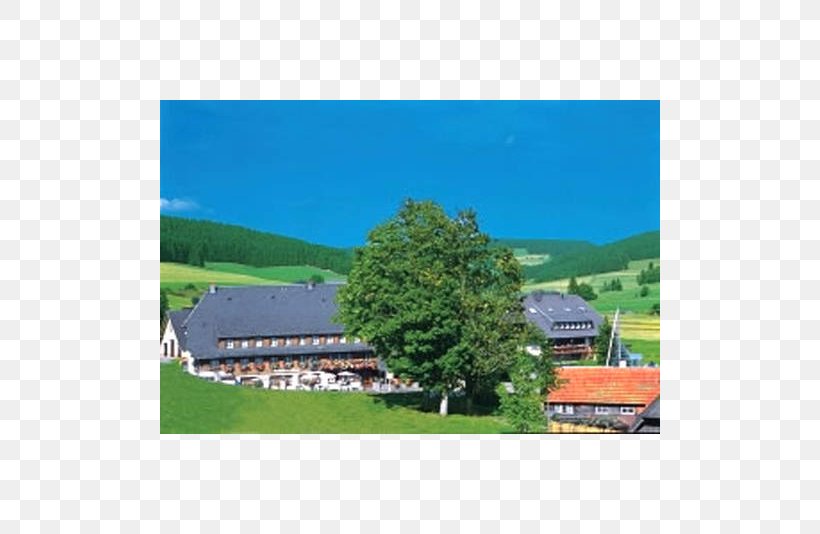 Hinterzarten Breitnau Hotel Hochfirst Garni Guest House, PNG, 800x534px, Hinterzarten, Area, Black Forest, Estate, Facade Download Free