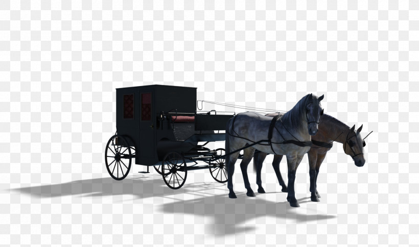 Horse And Buggy Wagon Vehicle Horse Harness Carriage, PNG, 1920x1136px, Horse And Buggy, Carriage, Cart, Chariot, Horse Download Free
