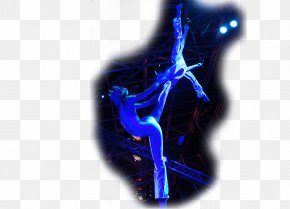 Circus - Isolation Tank Trapeze Circus Artistik Desktop Wallpaper PNG