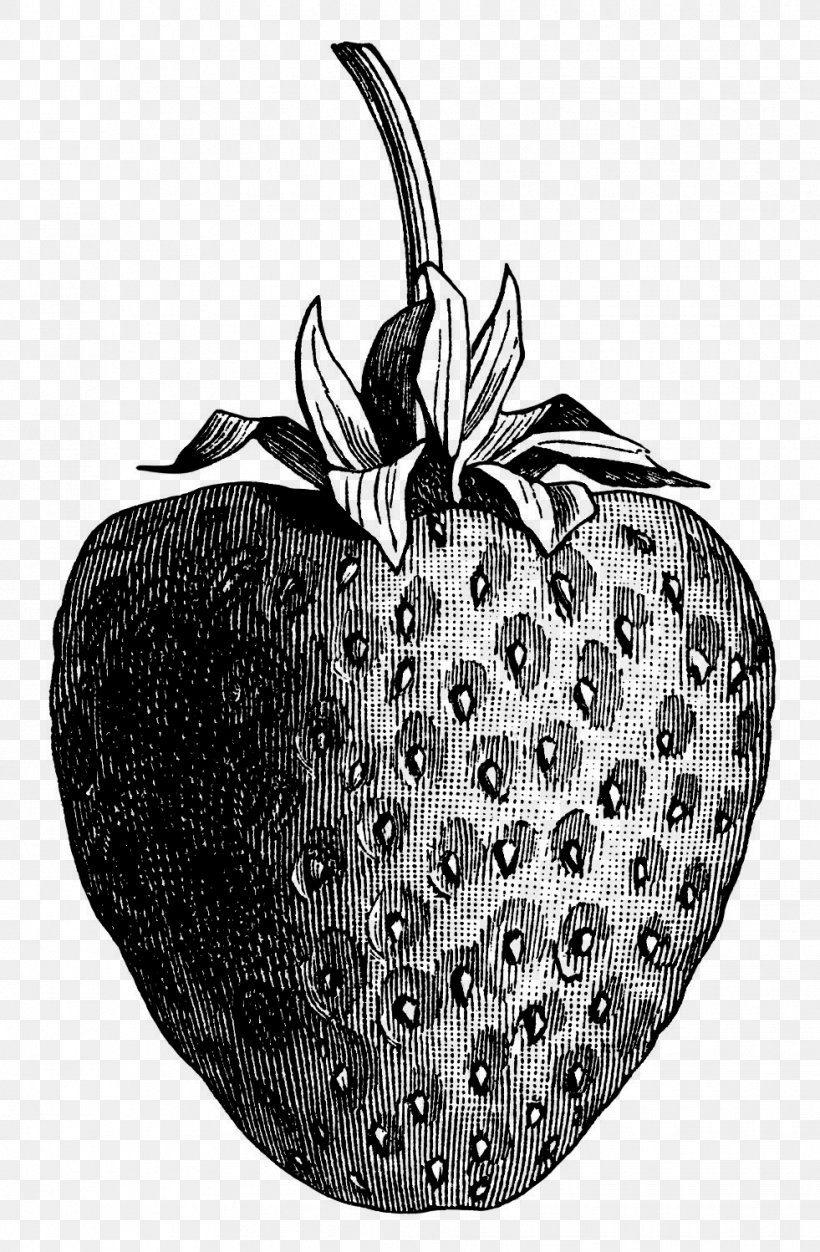Wild Strawberry De Historia Stirpium Commentarii Insignes Clip Art, PNG, 981x1498px, Wild Strawberry, Berry, Black And White, Black Raspberry, Botanical Illustration Download Free