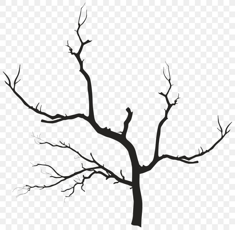 Branch Clip Art, PNG, 800x800px, Branch, Art, Bird, Black And White, Can Stock Photo Download Free