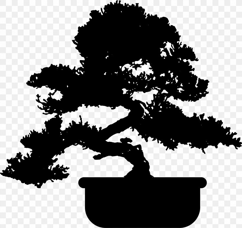 Popular Bonsai Juniperus Chinensis Tree Garden, PNG, 4038x3807px, Bonsai, Black And White, Bonsai Cultivation And Care, Branch, Fig Trees Download Free