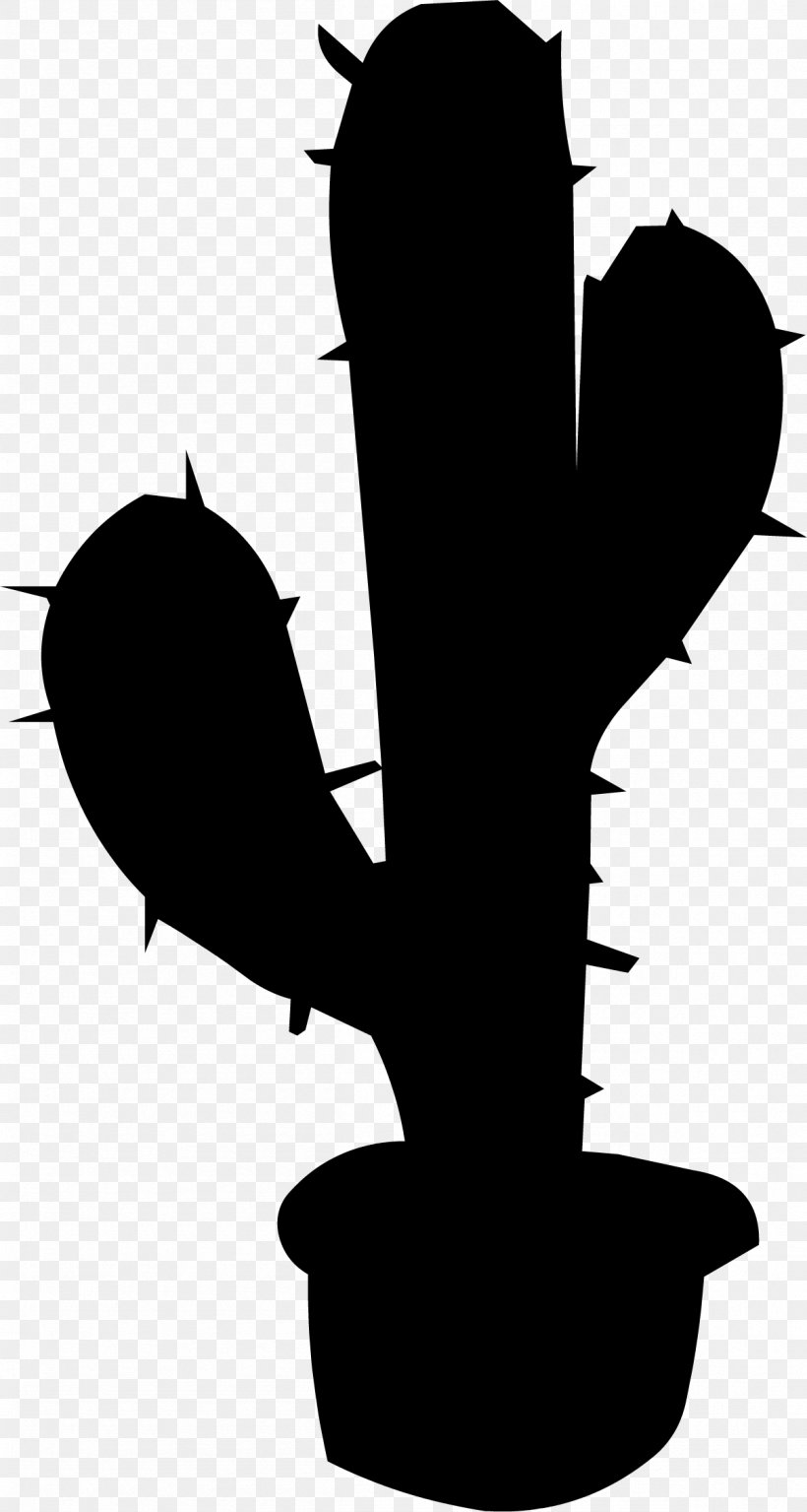 Clip Art Cactus Image Vector Graphics, PNG, 1204x2255px, Cactus, Blackandwhite, Botany, Caryophyllales, Drawing Download Free