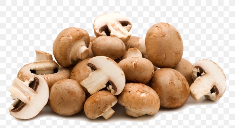 Common Mushroom Shiitake Food Fungus, PNG, 912x500px, Common Mushroom, Agaricaceae, Brown, Champignon Mushroom, Edible Mushroom Download Free