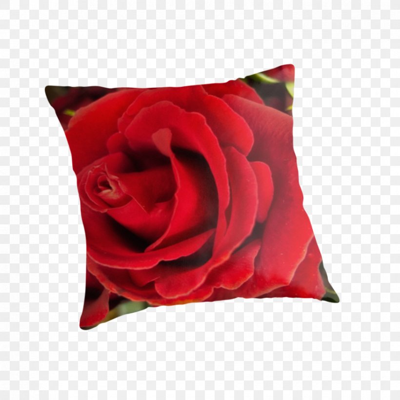 Garden Roses Throw Pillows Cushion Velvet, PNG, 875x875px, Garden Roses, Canvas, Canvas Print, Carpet, Cushion Download Free
