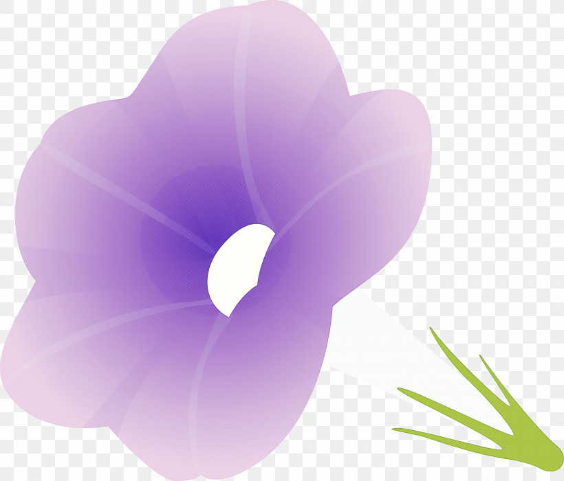 Morning Glory Flower, PNG, 3000x2563px, Morning Glory Flower, Crocus, Flower, Herbaceous Plant, Morning Glory Download Free