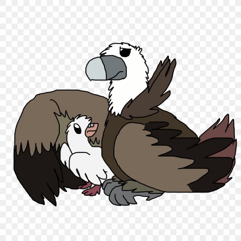 Owl Beak Feather Clip Art, PNG, 894x894px, Owl, Beak, Bird, Bird Of Prey, Carnivora Download Free