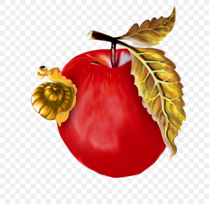 Image Autumn Centerblog Clip Art, PNG, 742x800px, Autumn, Accessory Fruit, Apple, Apple Feast Of The Saviour, Blog Download Free