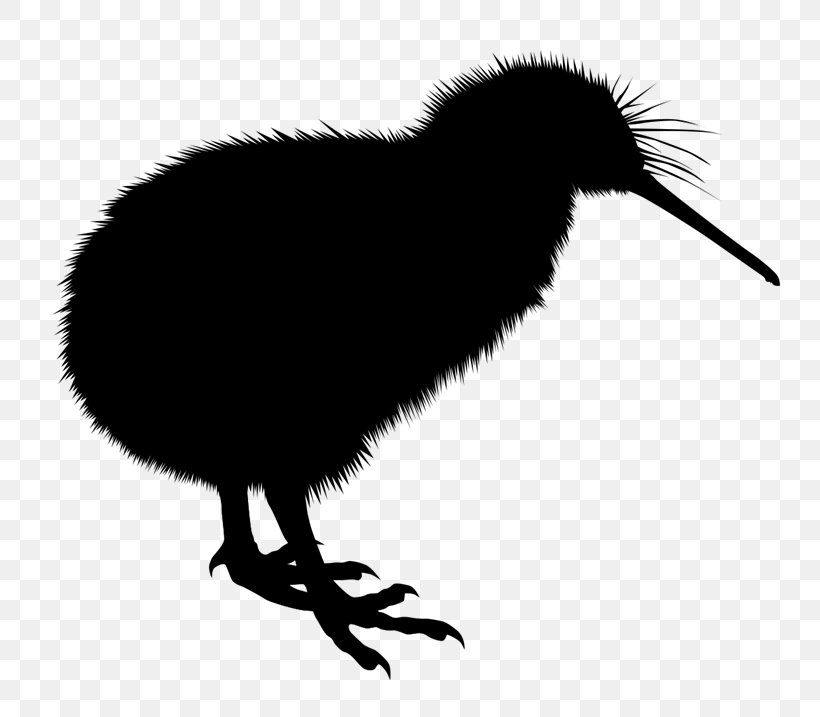 Australian Synchrotron Taranaki Beak Parininihi Ki Waitotara Incorporation Bird, PNG, 800x717px, Taranaki, Antarctica, Beak, Bird, Cranelike Bird Download Free