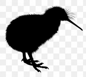 Australian Synchrotron Taranaki Beak Parininihi Ki Waitotara Incorporation Bird PNG